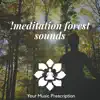 Meditation Forest Sounds album lyrics, reviews, download