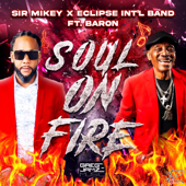Soul On Fire (feat. Baron.) - Sir Mikey Cover Art