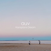 Hamptons Dream artwork