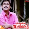 Meenathil Thalikettu (Original Motion Picture Soundtrack)