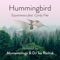 Hummingbird (feat. Cyndy Fike) - Equanimous lyrics