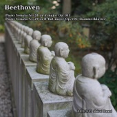 Beethoven: Piano Sonata No. 28, 29 'Hammerklavier' artwork