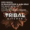 So Many Men, so Little Time (Laurent Simeca Radio Remix) - Single album lyrics, reviews, download