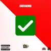 CHECKING (feat. Jay the Icon) - Single album lyrics, reviews, download