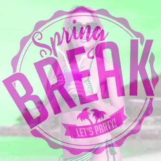 Spring Break: Let's Party by Various Artists album reviews, ratings, credits