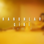 Kanunlar Gibi artwork