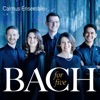 Calmus Ensemble - Messe in h-Moll, BWV 232/3: Kyrie