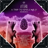 A Trip to Idyllwild Remixes artwork