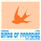 Birds of Paradise (feat. Sydney Streb) artwork