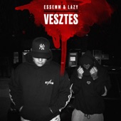 Vesztes (feat. LazyDSF) artwork