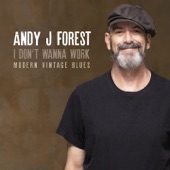 Andy J Forest - High Times Low Life