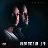 Elements of Life artwork