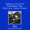 Live at Birdland Neuburg (feat. Stephan Holstein, Walter Lang & Wolfgang Lackerschmid) album lyrics, reviews, download