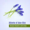 Détente et bien-être - Musique relaxante et anti-stress, les sons de la nature, pensée positive, un meilleur sommeil album lyrics, reviews, download