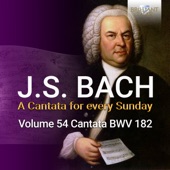 J.S. Bach: Himmelskönig, sei wilkommen, BWV 182 artwork