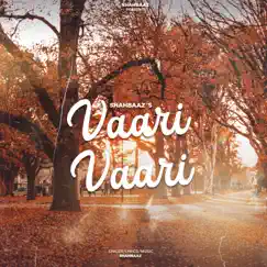 Vaari Vaari - Single by Shahbaaz album reviews, ratings, credits