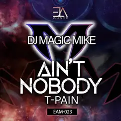 Ain't Nobody - Single by DJ Magic Mike & T-Pain album reviews, ratings, credits