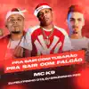 Pra Sair Com Tubarão, pra Sair Com Falcão - Single album lyrics, reviews, download