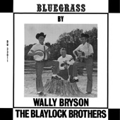Wally Bryson & the Blaylock Brothers - Money, Marbles, And Chalk