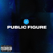 Public Figure artwork