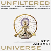 Unfiltered Universe (feat. Vijay Iyer, Rudresh Mahanthappa, Johannes Weidenmueller, Dan Weiss & Elizabeth Mikhael) artwork