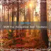 Bgm for Relaxation and Tiredness album lyrics, reviews, download