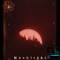 Moonlight - Sub Zer0 lyrics