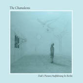 The Chameleons - Everyday and Crucified