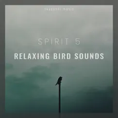Relaxing Bird Sounds by Spirit 5 album reviews, ratings, credits