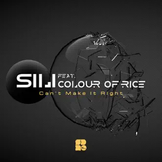 Can't Make It Right (feat. Colour of Rice) - EP by SiLi album reviews, ratings, credits