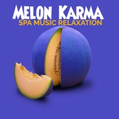 Melon Karma artwork