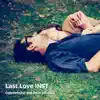 Last Love Inst - Single album lyrics, reviews, download