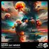 Never Say Never - Single album lyrics, reviews, download