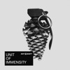 Unit Of Immensity - Single, 2021