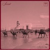 Pinto - Trench