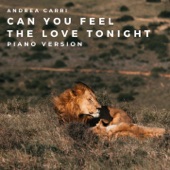 Can You Feel the Love Tonight (Piano Version) artwork