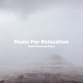 Music For Relaxation - Quiet Relaxing Music artwork