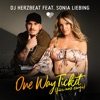 One Way Ticket (für uns zwei) [feat. Sonia Liebing] - Single