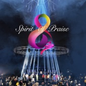 Spirit of Praise, Vol. 8 (Live) artwork