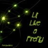 Lit Like a Firefly - Single