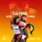 Dance Calypso (feat. Lyrikal) - MzVee lyrics