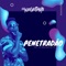 Penetradão (feat. Mc Neguinho Do ITR) - DJ Negritinho lyrics