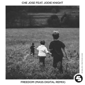 Freedom (feat. Jodie Knight) [Mass Digital Remix Edit] artwork