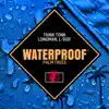 Waterproof Palm Trees - Single album lyrics, reviews, download