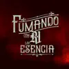 Stream & download Fumando Con La Esencia - Single