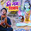 Om Namah Shivay - Single album lyrics, reviews, download