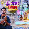 Stream & download Om Namah Shivay - Single