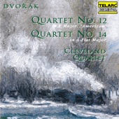 String Quartet No. 14 in A-Flat Major, Op. 105, B. 193: I. Adagio, ma non troppo - Allegro appassionato artwork