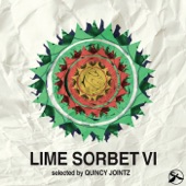 Lime Sorbet, Vol. 6 (Selected by Quincy Jointz) artwork