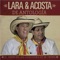 Los Cisnes - Lara y Acosta lyrics